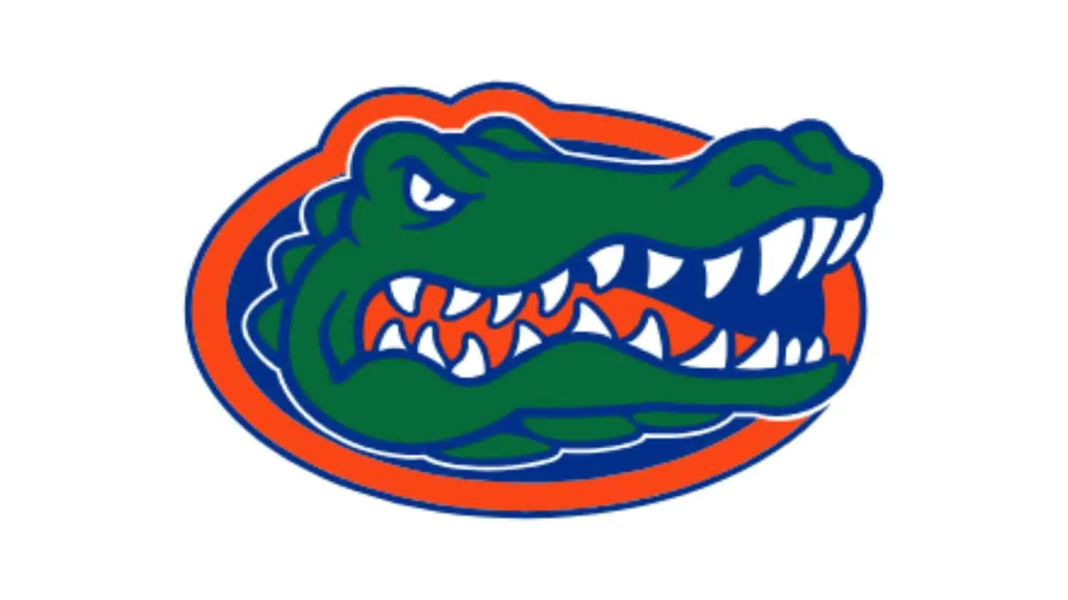 gun laws florida gun laws florida