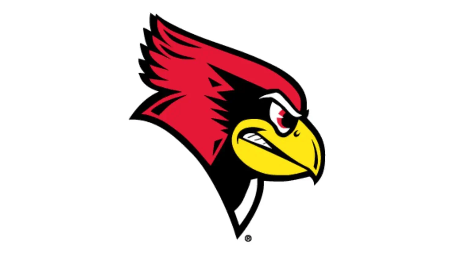 gun laws illinois gun laws illinois